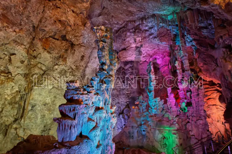 Inicio 14 Cuevas del Canelobre, Alicante